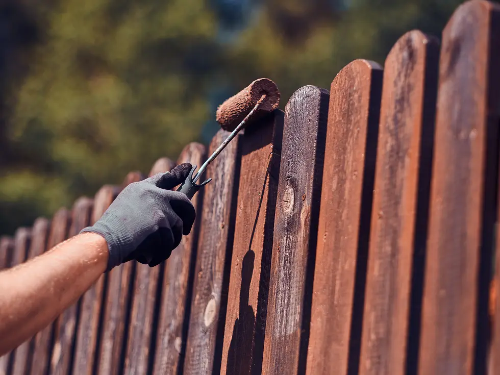 image How Often Should You Stain a Fence_ A Homeowner's Guide to Long-Lasting Wood