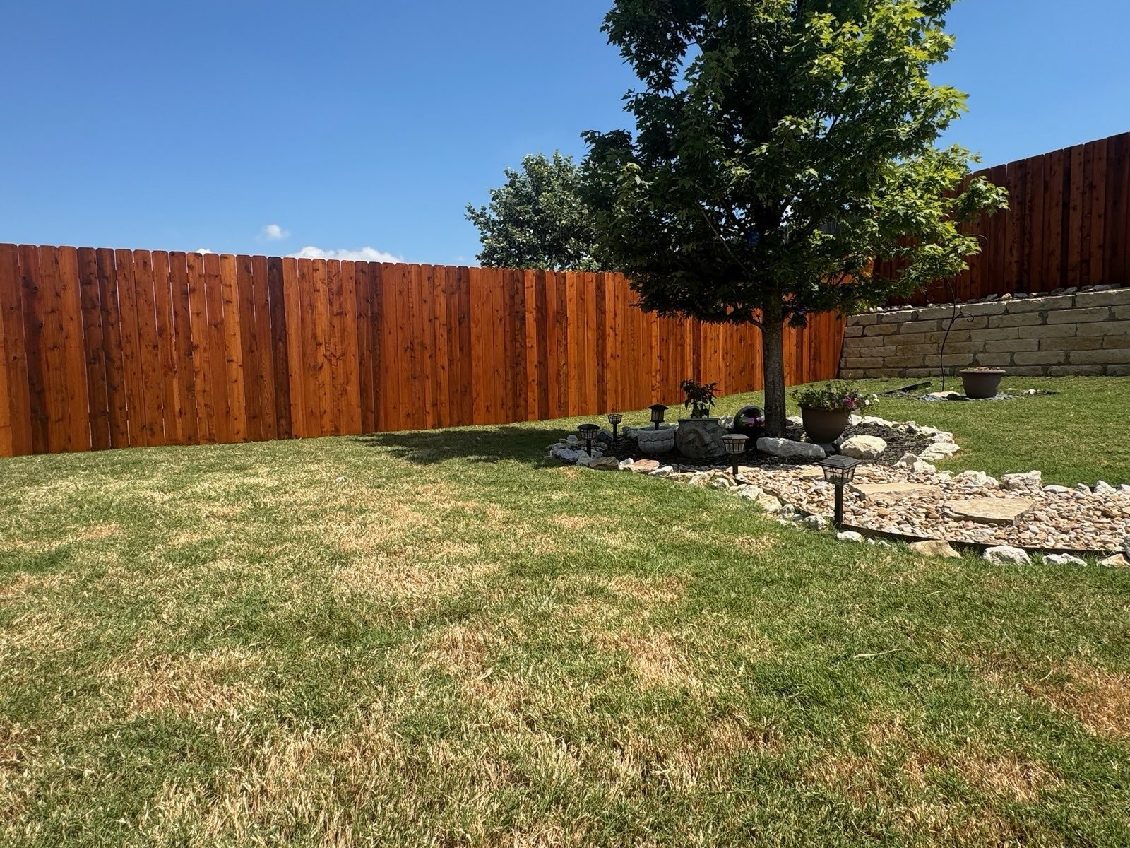 MEaee813c40fd62b3c8964bb32881da43a A backyard with green and brown grass, a wooden fence, a tree surrounded by white rocks, potted plants, and stone edging under a clear blue sky.