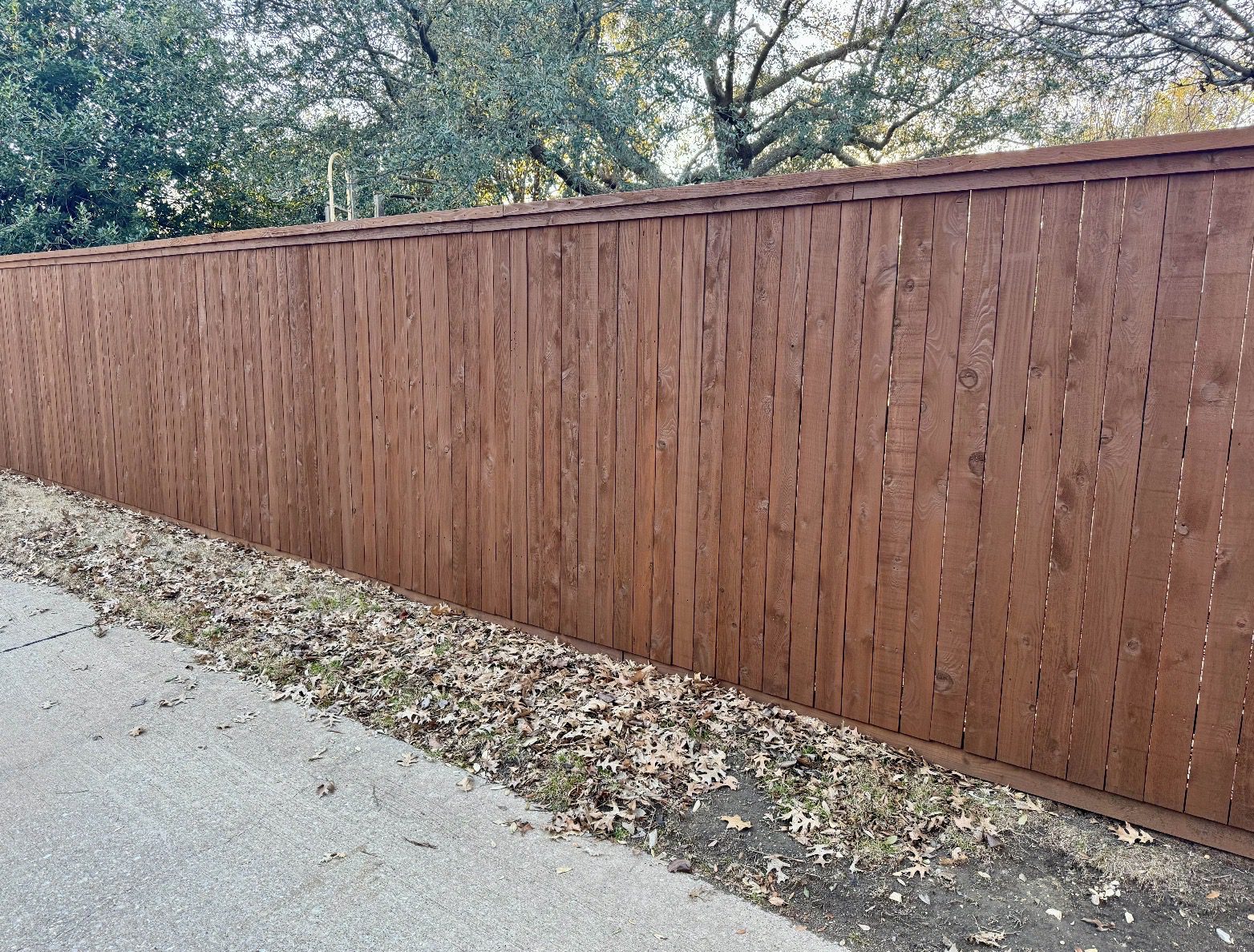 Screenshot A tall wooden privacy fence with a reddish-brown finish runs alongside a sidewalk; fallen leaves are scattered on the ground near the base of the fence.