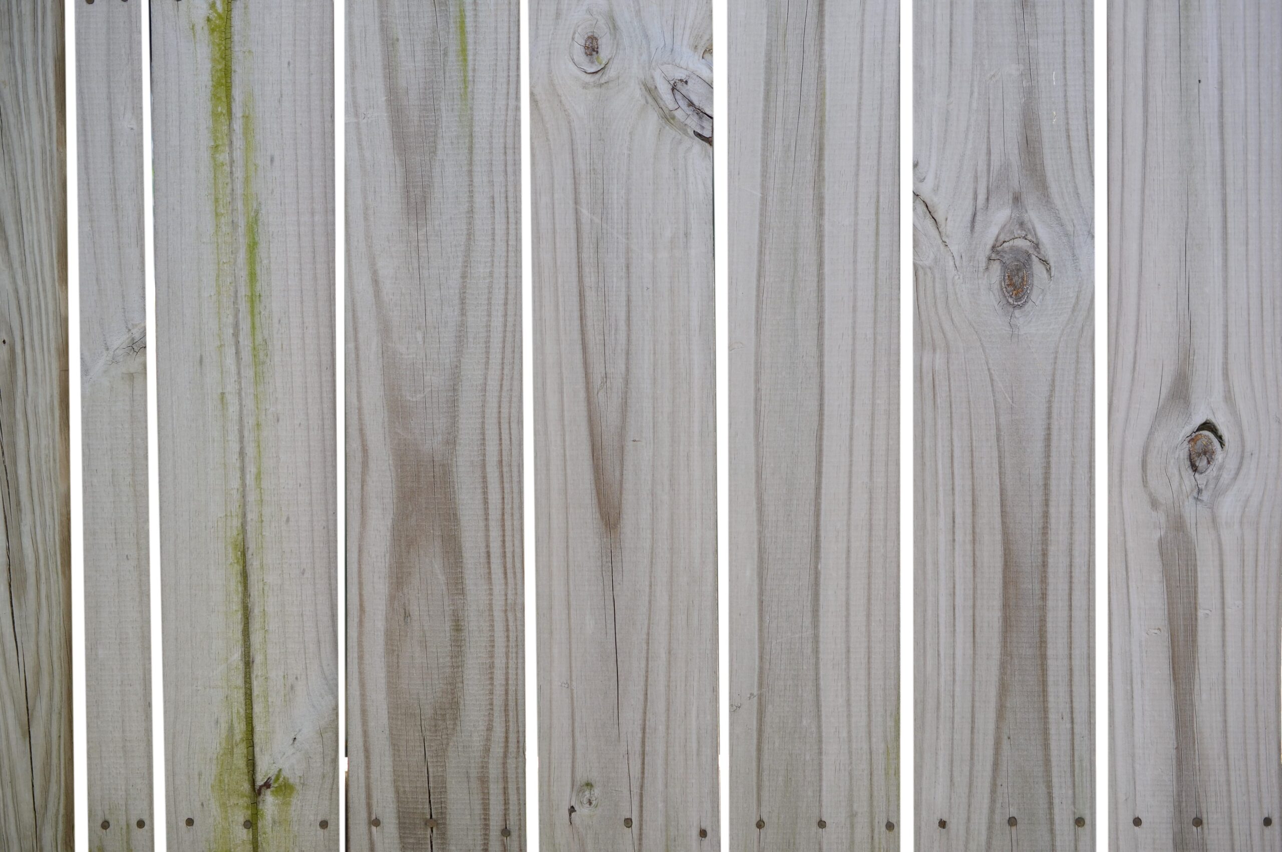 Close-up of a wooden fence with vertical planks, visible knots, and a section of green moss or mildew on the left side.