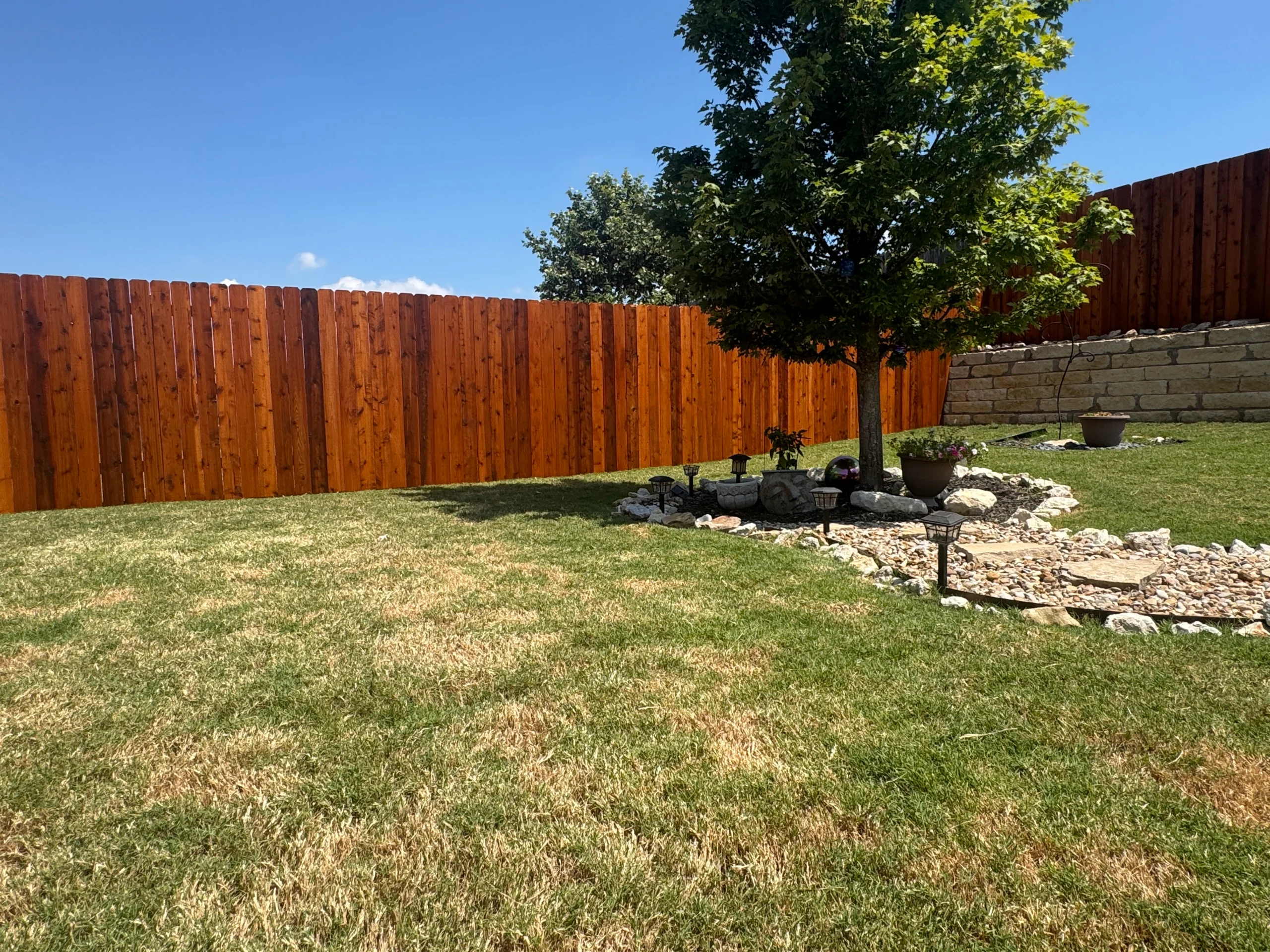 A backyard with a beautifully stained wooden fence by a professional fence staining contractor, green grass, a tree surrounded by rocks and potted plants, and a stone retaining wall under a clear blue sky.