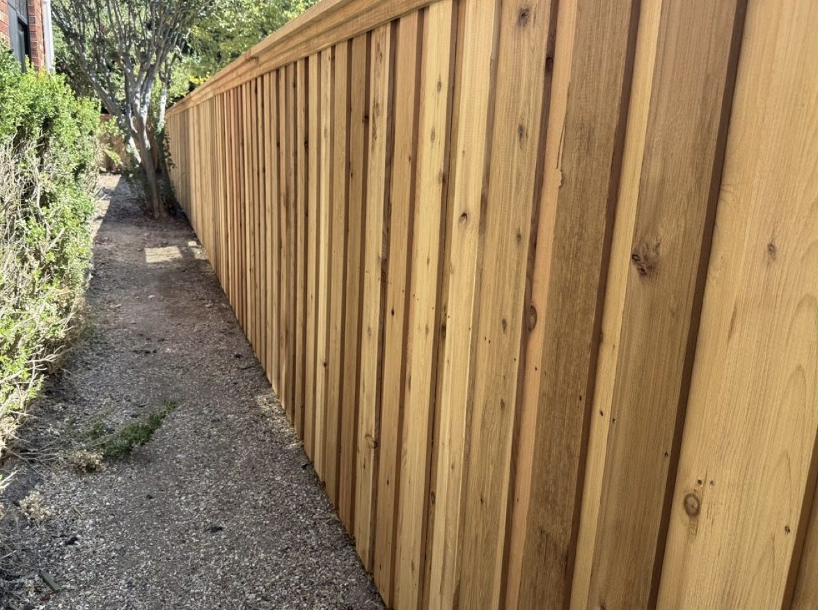 A tall wooden fence runs along a narrow gravel path, with green bushes visible on the left side and partial tree branches overhead.