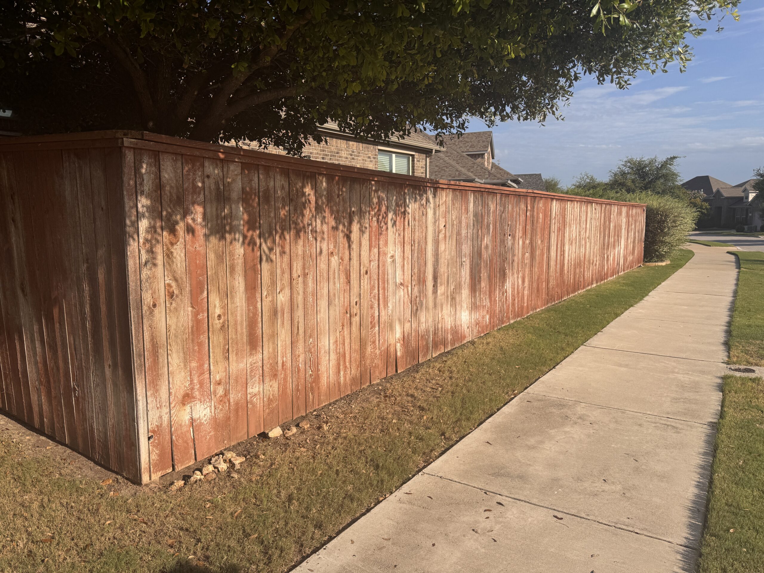 A weathered wooden fence lines the edge of a suburban yard next to a sidewalk, with a tree providing partial shade and houses visible in the background.