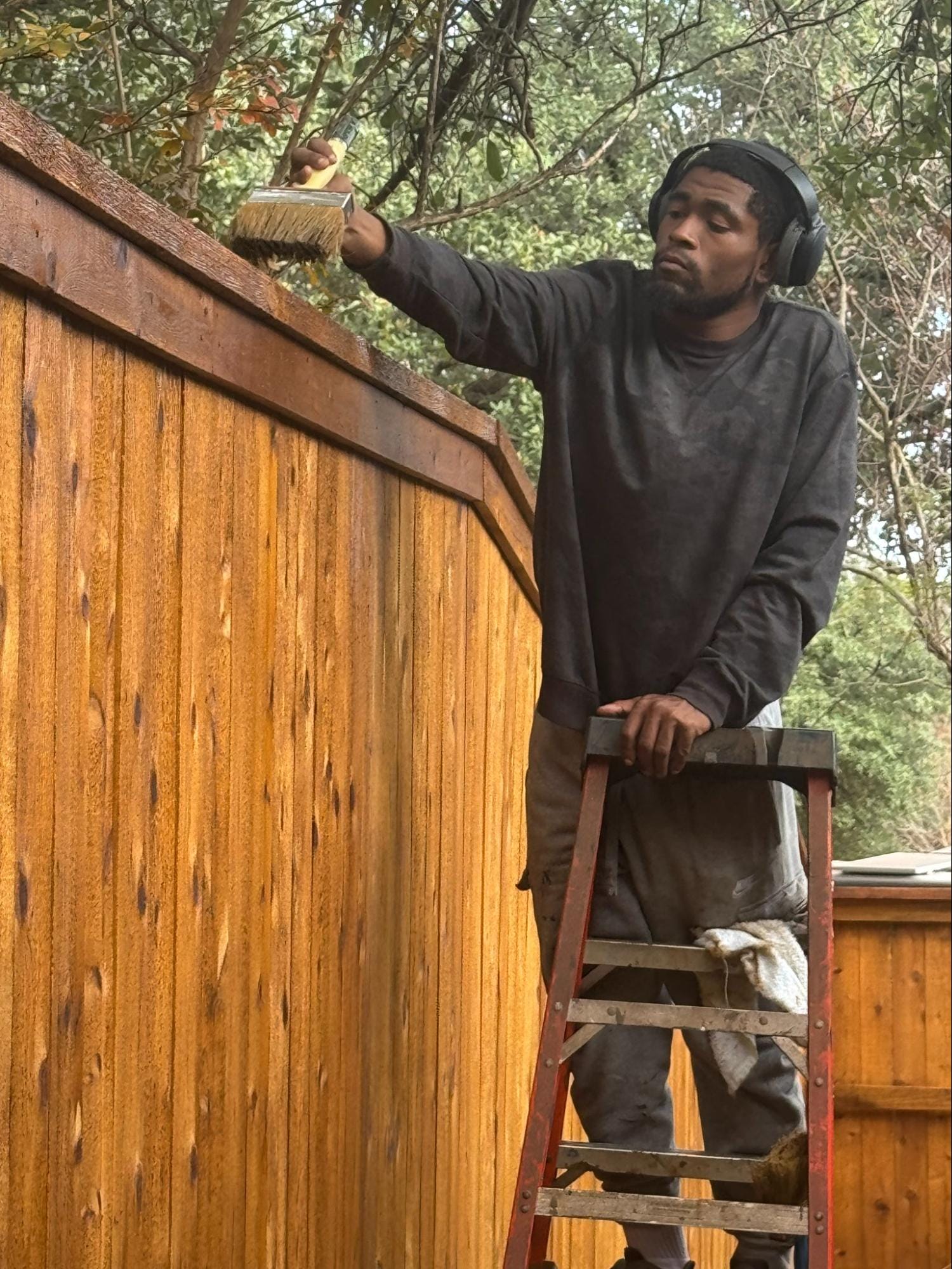 A person standing on a ladder stains a wooden fence with a brush, wearing headphones and dark clothing. Trees are visible in the background.